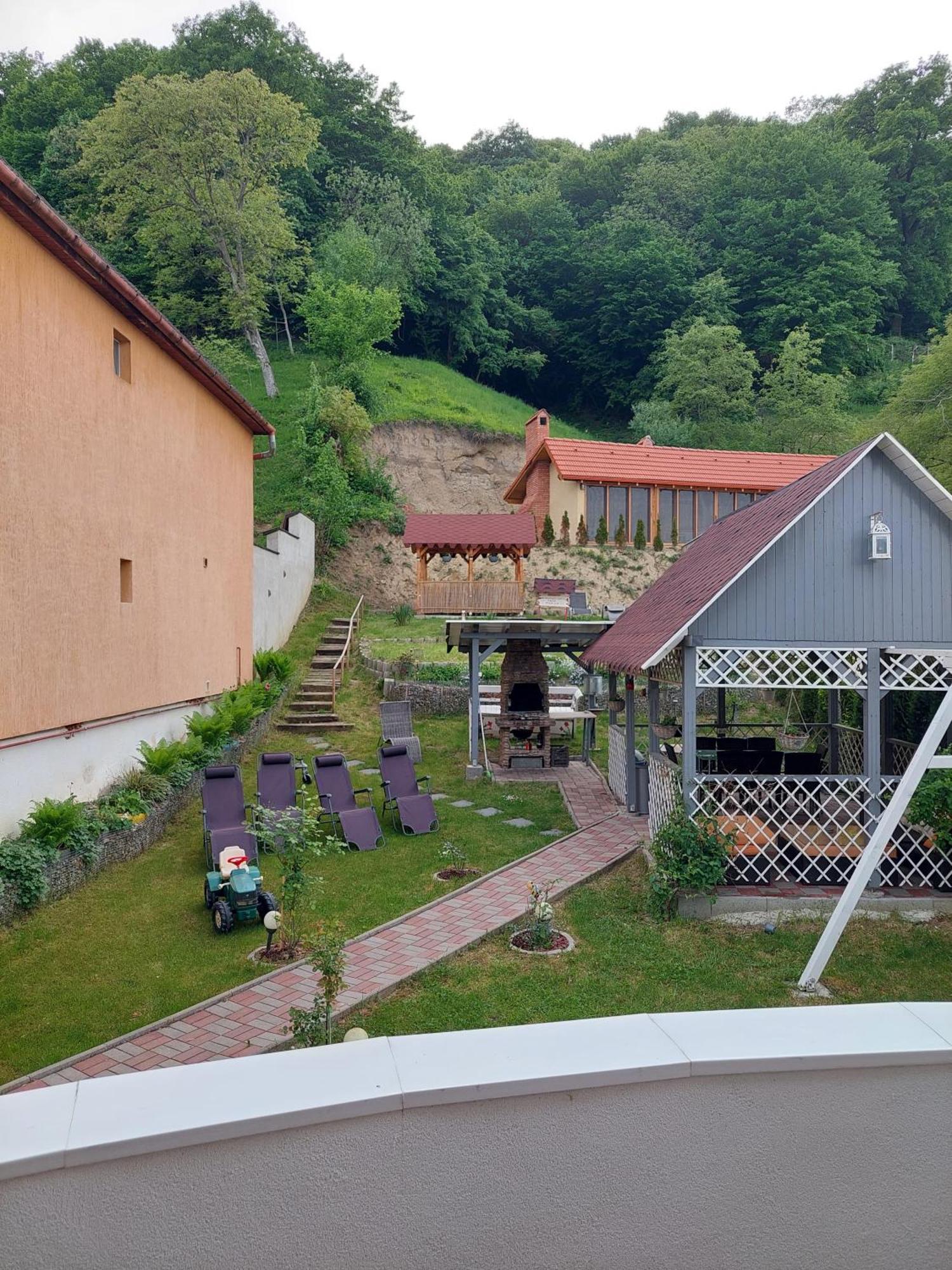 Casa Marian Hotel Sighişoara Exterior foto